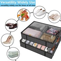 Le'sort Lot de 2 boîtes de rangement pour chaussures en tissu injecté, rectangulaires, écologiques, avec couvercle transparent et poignées, pliables, pour placard, capacité 20 paires