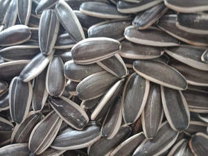 Biji bunga matahari 361 bagus Tiongkok - Product Image 2