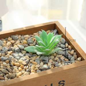 Accesorios Creativos para Manualidades, Pequeñas Cabezas de Flores de <span class=keywords><strong>Echeveria</strong></span>, Flores Artificiales de Plástico, Adornos Decorativos para el Hogar, Proceso de Resina - Product Image 5