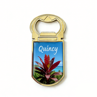 Großhandel Personalisierter Quincy USA-Touristen-Souvenir Beschichteter Metall-Kühlschrankmagnet Flaschenöffner