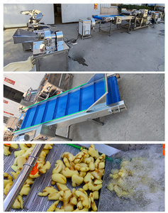 Línea de procesamiento de fábrica comercial para alimentos instantáneos, verduras en escabeche y jengibre en polvo, producto tipo fruta - Product Image 5