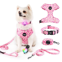 Harnais en maille douce laisse pour chien support de sac à crottes lueur lumière sombre ensemble d'accessoires pour animaux de compagnie avec animal confortable pour votre fourrure