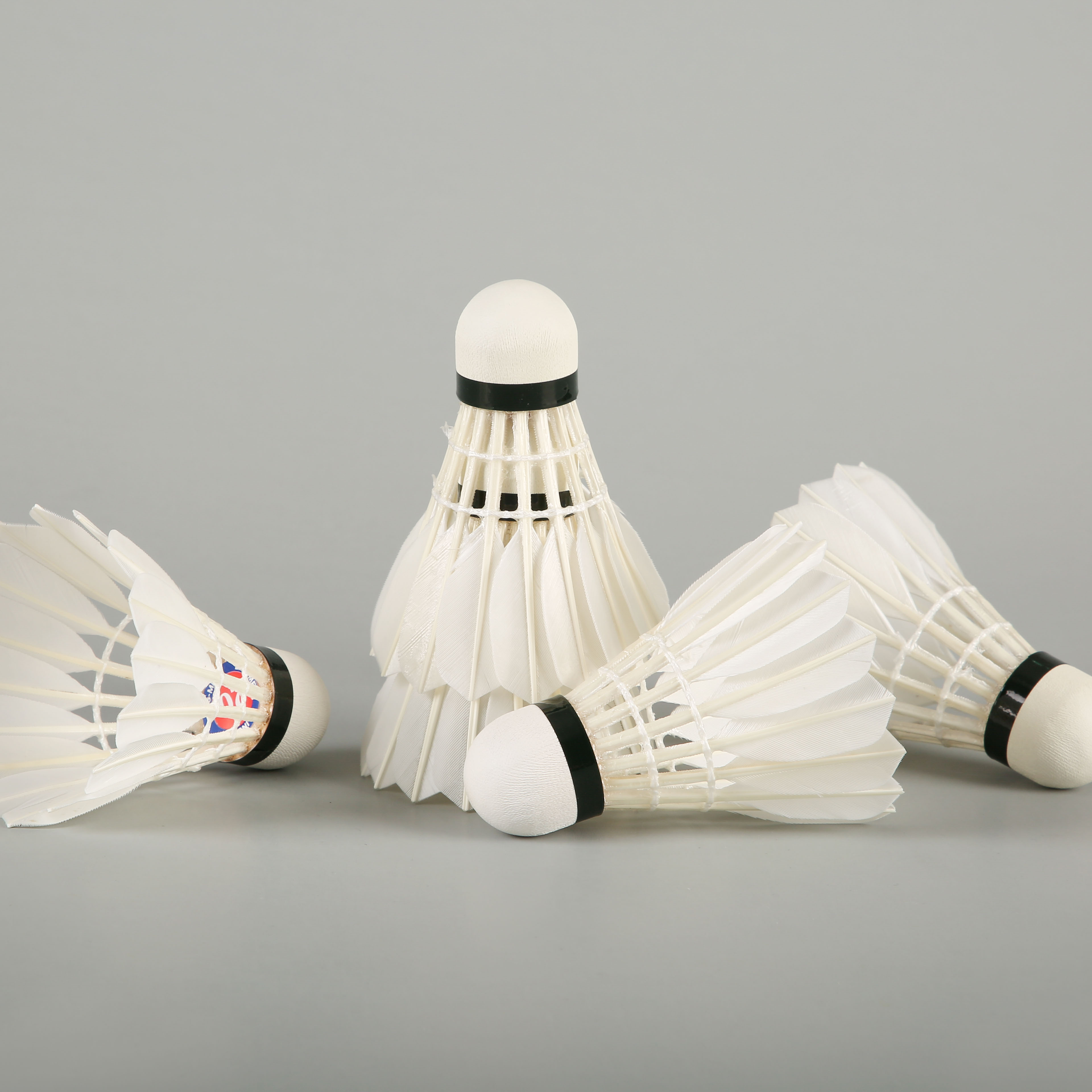 VOLANTS DE BADMINTON PLUMES RSL DTL 8A (8 plumes) - Rsl - PLUMES - VOLANTS - BADMINTON
