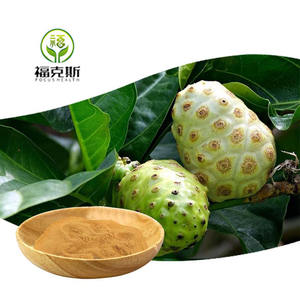 Suda çözünür saf doğal organik Mangosteen enzim dondurularak kurutulmuş yaprak <span class=keywords><strong>Noni</strong></span> meyve meyve suyu özü toz toplu - Product Image 1