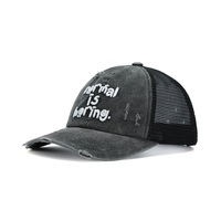 Gorra de alta calidad unisex, suave, de 6 paneles, de algodón lavado, con logotipo bordado, logotipo y color personalizados, para uso casual, estilo papá.