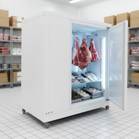 Chambre froide solaire à batterie lithium pour la congélation de viande, thon, poisson et fruits de mer