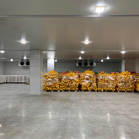 Sistema de Refrigeración y Almacenamiento, Cámaras Frigoríficas de Alta Calidad, Congelador Vertical, Cámara Fría para Mariscos