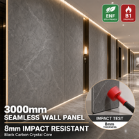 Panneau mural en PVC anti-collision pour projet de stade, panneau résistant aux impacts pour les murs des installations sportives