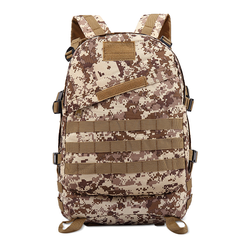 ทะเลทรายดิจิทัล