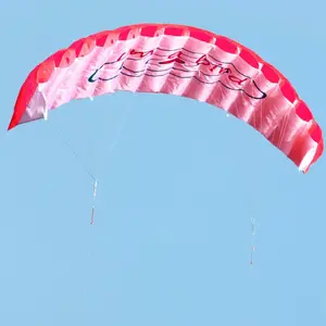 1.4m Dual Line Stunt Parafoil paracadute surf aquilone parapendio Nylon aquilone sport spiaggia doppia linea aquilone volante giocattoli all'aperto