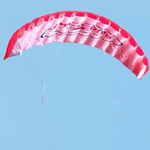 1.4m Dual Line Stunt Parafoil Parachute Surfing Kite Paragliding Nylon Kite Sports Beach Dual Line Flying Kite Outdoor Toys