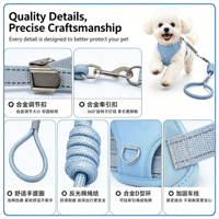 Ensemble de voyage pour chien en maille contrastée, harnais et laisse anti-évasion réglables, harnais de poitrine pour promenades avec chien