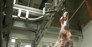 Transportador aéreo manual para matadero de tubos de riel de ganado - Product Image 2