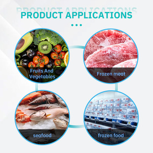 Permafrost hiệu quả phòng lạnh lưu trữ tủ đông container 20ft 40ft lạnh lưu trữ phòng cho hot-bán nhanh chóng đông lạnh - Product Image 5