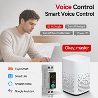 Nouveau disjoncteur intelligent WiFi Tuya 63A avec mesure de consommation kWh, protection contre les surtensions, réenclenchement automatique et fonction prépayée