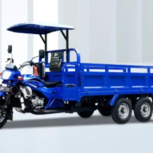 Triciclo para Adultos/Triciclo Motorizado con Motor de 200cc/250cc/300cc, Triciclo de Carga - Product Image 6
