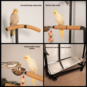 Mobile Rolling Large Parrot Playground Stand Heavy Duty Metal Bird Perch <strong>Gym</strong> with Wheels Tray Feeder Bowls - Product Image 4
