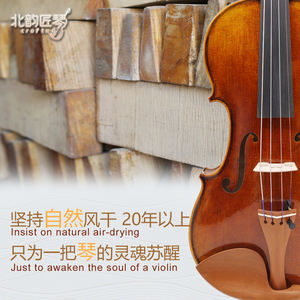 Violon d'entraînement 4 cordes CHENTUO CT3.0 4/4 pour débutants, avec table en épicéa massif, côtés en érable et touche en ébène, fabriqué en Chine - Product Image 3