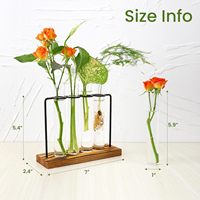 Station de propagation des plantes, terrarium, vases en tube à essai, support en verre et en fer pour la propagation des plantes hydroponiques