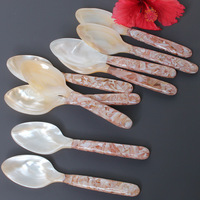 Vente en gros vrac Cuillères à conque à long manche Fleurs brisées roses Louches à caviar en coque naturelle Blingbling Big Mother Pear Mirror