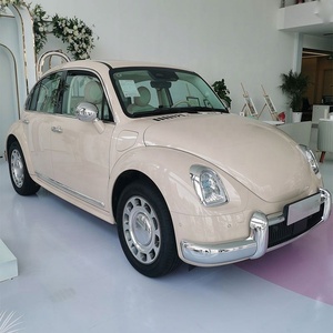 มอเตอร์รถยนต์ไฟฟ้าขนาดเล็ก 4 ล้อ สำหรับ ORA Good Cat - Product Image 2