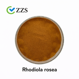 Extrait de plante de <span class=keywords><strong>Rhodiola</strong></span> <span class=keywords><strong>Rosea</strong></span> en poudre, 3% de Rosavines, 1% de <span class=keywords><strong>Salidroside</strong></span>, provenant d'entrepôts aux États-Unis et en Europe - Product Image 1