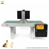Machine d'identification intelligente des poussins GREAT FARM, équipement entièrement automatique d'identification rapide des plumes des poussins