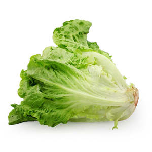 Poudre de laitue, poudre naturelle de fruits et légumes de qualité alimentaire, matière première pour la transformation commerciale - Product Image 3