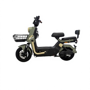 Bicicleta Eléctrica Plegable Todoterreno de Alta Calidad para Hombre, con Motor, Kit de Batería, Sidecar, Rueda de 22 Pulgadas y Caja, Modelo Panama - Product Image 1