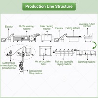 Chaîne de production continue pour le séchage et le traitement du gingembre, du curcuma, de la poudre d'oignon et de l'ail, avec machine de fabrication, pour la marque