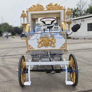 Carroza Real Eléctrica para Turismo, Autobús de Transporte de Pasajeros, Vehículo de Recepción de Pasajeros Q235B de Acero, 5-6 Plazas, 24 Meses - Product Image 4
