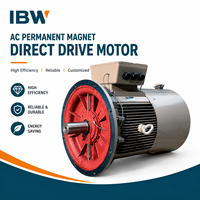 Moteur à entraînement direct à aimant permanent industriel, faible vitesse, couple élevé, PMSM 380V 30Hz, sur mesure pour mélangeur, réacteur, tour de refroidissement