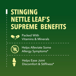 En stock, Approvisionnement transfrontalier : Gouttes de <span class=keywords><strong>racine</strong></span> d'<span class=keywords><strong>ortie</strong></span> pour la densité osseuse (OEM) 1 fl oz (30 ML) - Product Image 3