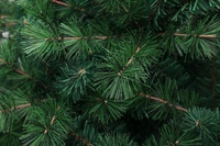 Matériel vierge ignifuge vente chaude artificielle PVC pin aiguille arbre de Noël Décorations de Noël