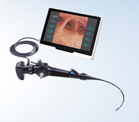Endoscope vétérinaire flexible portable pour animaux de compagnie, canal de travail de 1,2 mm, 3,0 mm, bronchoscope pour petits animaux, chien, chat