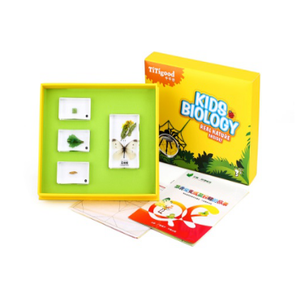 Gelsonlab HSKS-1719 Piccolo granchi e granchi eremita in riva al mare Incorporato biologico campioni Insegnamento incorporato campioni - Product Image 6