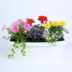 Macetas Rectangulares de Plástico Blanco con Textura Ondulada para Decoración de Balcones, Venta al Por Mayor, Proveedor Directo de Fábrica - Product Image 1