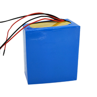LIFEPO4 12V 4 S5p 25Ah 30Ah Digunakan Dalam Paket Baterai untuk Sepeda Listrik dan Skuter