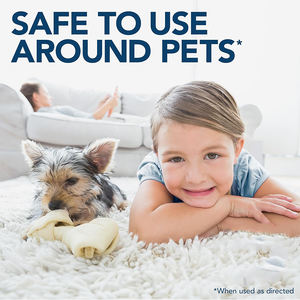 猫と犬のためのカスタムロゴペット臭気除去剤カーペット尿ステイン臭気脱臭スプレー - Product Image 4