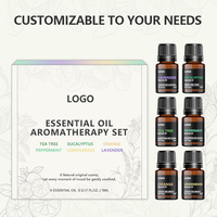 Kit d'huiles essentielles d'aromathérapie Ingrédients naturels Ensembles d'huiles essentielles biologiques Aromathérapie Fabrication de bougies Soins du corps