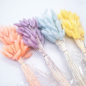 Lcizante — 60 têtes de lapin noires et couleurs, vente en gros, queues de lièvre, lagure ovale, pour la décoration de la maison - Product Image 2