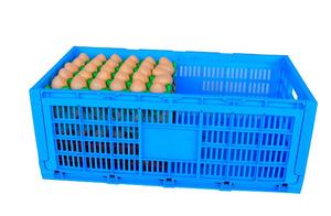 JOIN Newest Design Plastic Egg Tray Plastic Incubator Chicken Egg Tray Reusable <strong>Packing</strong> <strong>Crate</strong> for 30 Eggs - Product Image 5