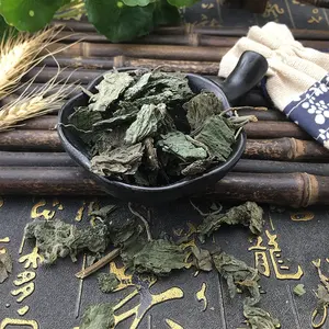 1 kg herbal Cina massal daun teh hijau sehat nettle daun kering