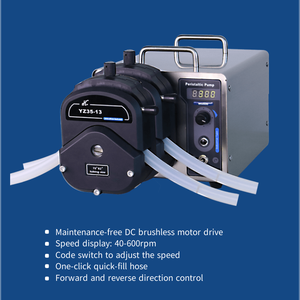 Ditron-tech Chinese Factory Large High Flow Peristaltic <b>Pump</b> WG600-2J Large Peristaltic <b>Pump</b> WG600-2J - Product Image 4