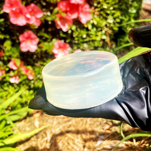 Savon Solide Artisanal 100% Biologique à l'Aloe Vera pour le Corps, Blanchissant, Format Voyage, Marque Privée, Prêt à l'emploi, Soin de la Peau, Vente en Gros - Product Image 6