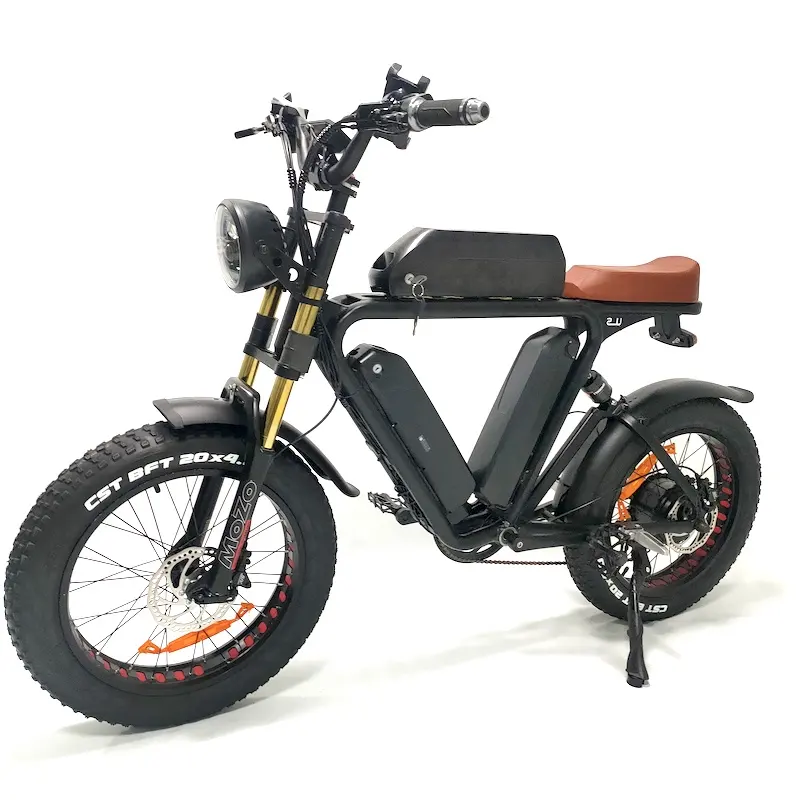 16Ah * 3 Drei Batterien 200km lange Reichweite 750W Andere China Motorrad E Fahrrad Elektro fahrrad