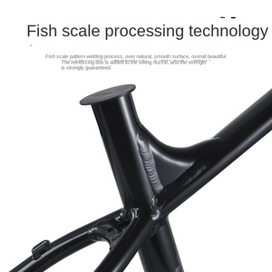 Cadre d'échelle personnalisé en usine VTT alliage d'aluminium baril essieu 12148 pente du sol routage <span class=keywords><strong>intérieur</strong></span> frein à disque 27.5/29 - Product Image 1