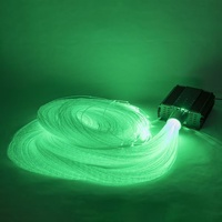 Kit d'éclairage LED à fibres optiques interactif à éclat tactile et latéral, 160 queues, pour stimulation sensorielle et équipement de salle sensorielle