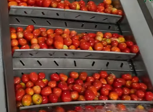 Ligne de production de machines à fabriquer de la purée de tomates en état neuf, usine de purée de tomates - Product Image 5