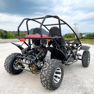 LnA âm thanh đúng 200cc <span class=keywords><strong>250cc</strong></span> đi <span class=keywords><strong>Kart</strong></span> động cơ với đảo ngược - Product Image 6